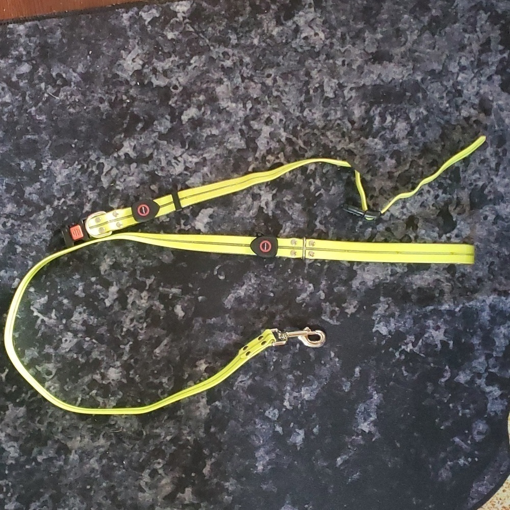 Light Up Leash and Collar with 3 Modes, USB charger Included - Picture 3 of 8